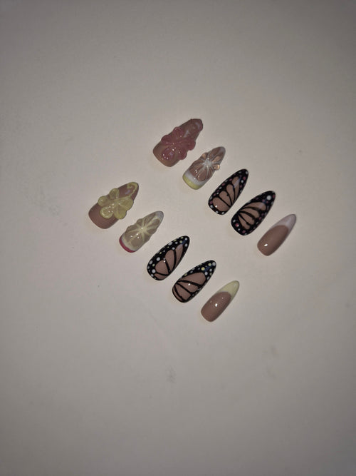 Butterfly Blush
